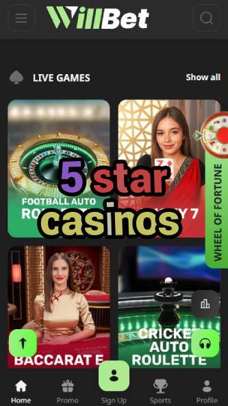 5 Star Casinos - Luxury Casino Experience-casinocasi.ydblkf.net