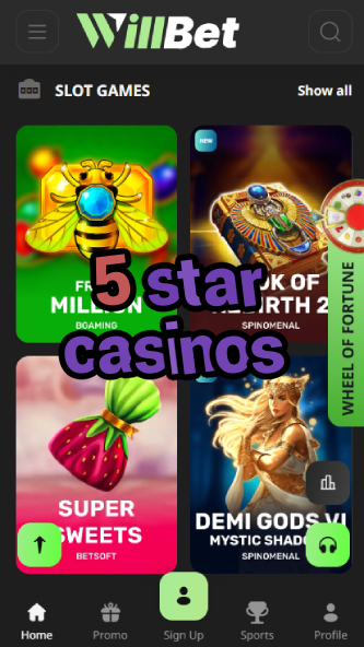 5 Star Casinos - Luxury Casino Experience-casinocasi.ydblkf.net